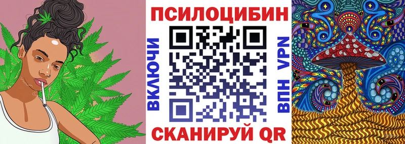 цена   Сибай  Псилоцибиновые грибы Psilocybe 