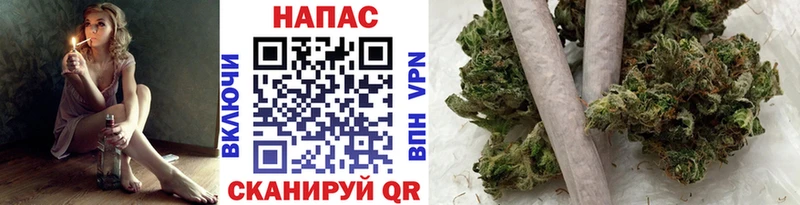 Бошки Шишки сатива  закладки  Сибай 